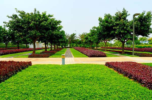 園林綠化的施工工程包含了什么