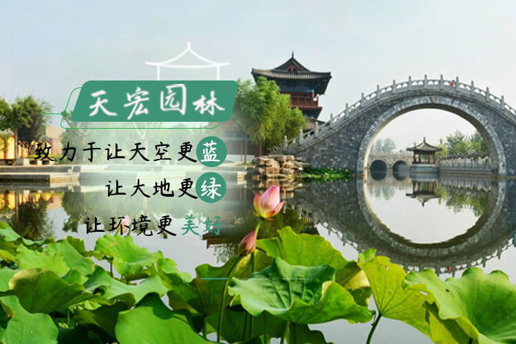 北京天宏園林綠化養護草莓视频免费下载观看-草莓视频app下载黄-草莓视频破解版下载-草莓视频下载安装黄